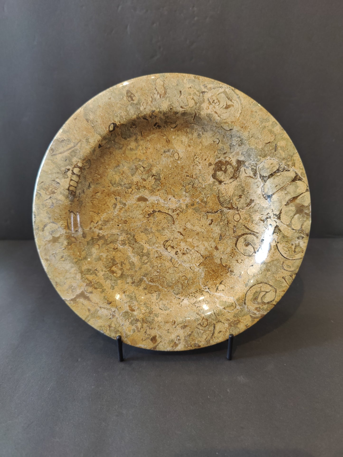 Coral Fossil Decorative Plate 8"