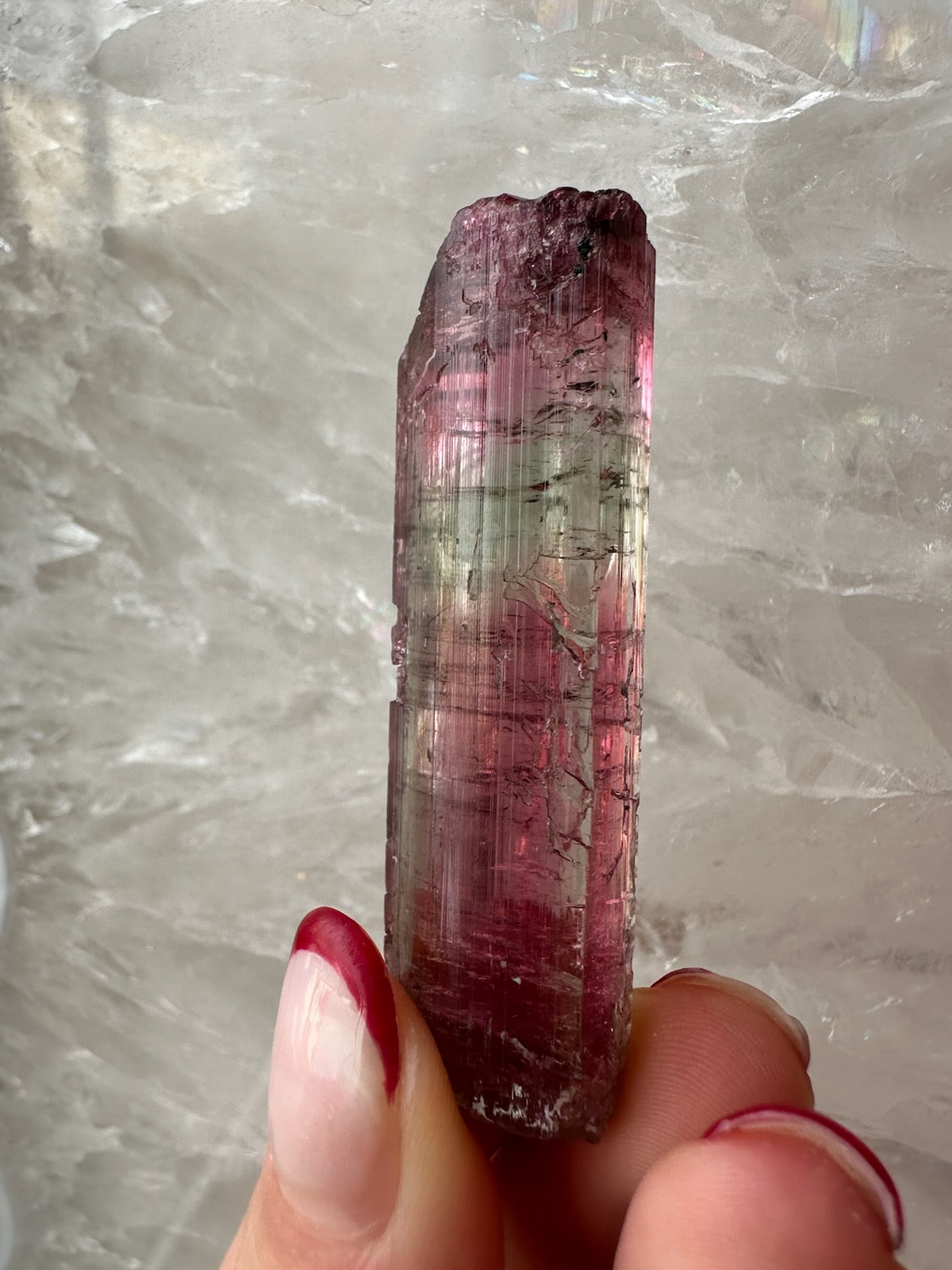 Watermelon Tourmaline