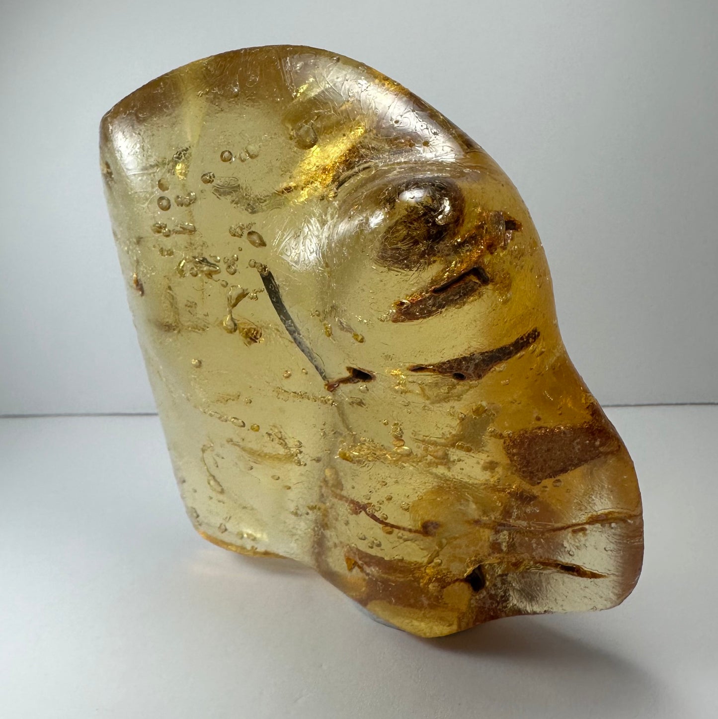 Amber with Insects