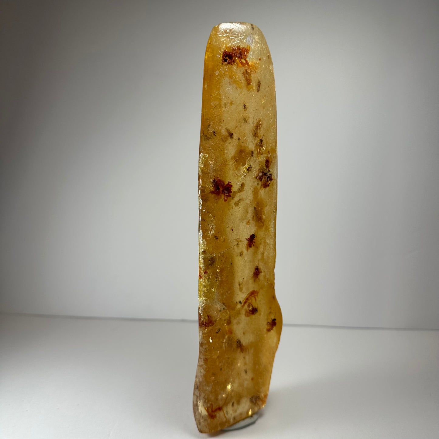 Amber with Bee Colony from Colombia