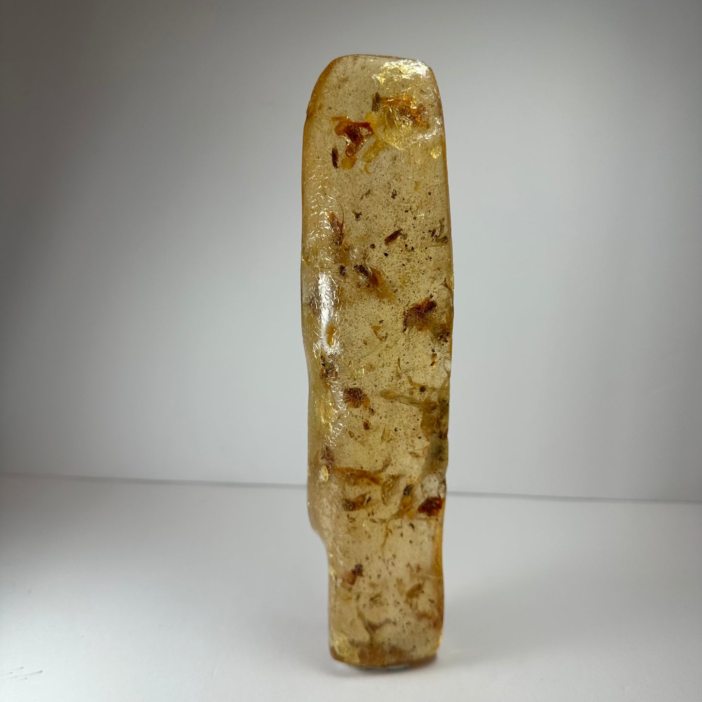 Amber with Bee Colony from Colombia