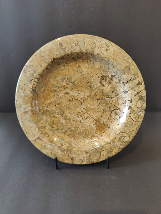 Coral Fossil Decorative Plate 8"