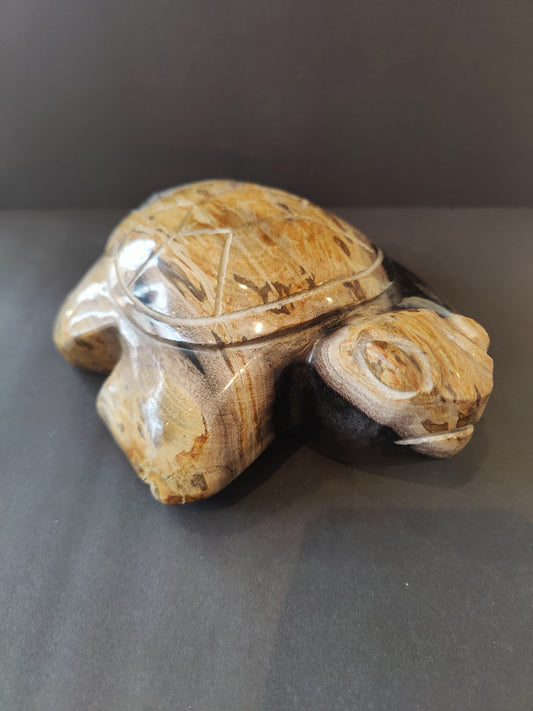 Petrified Wood Turtle Sculpture