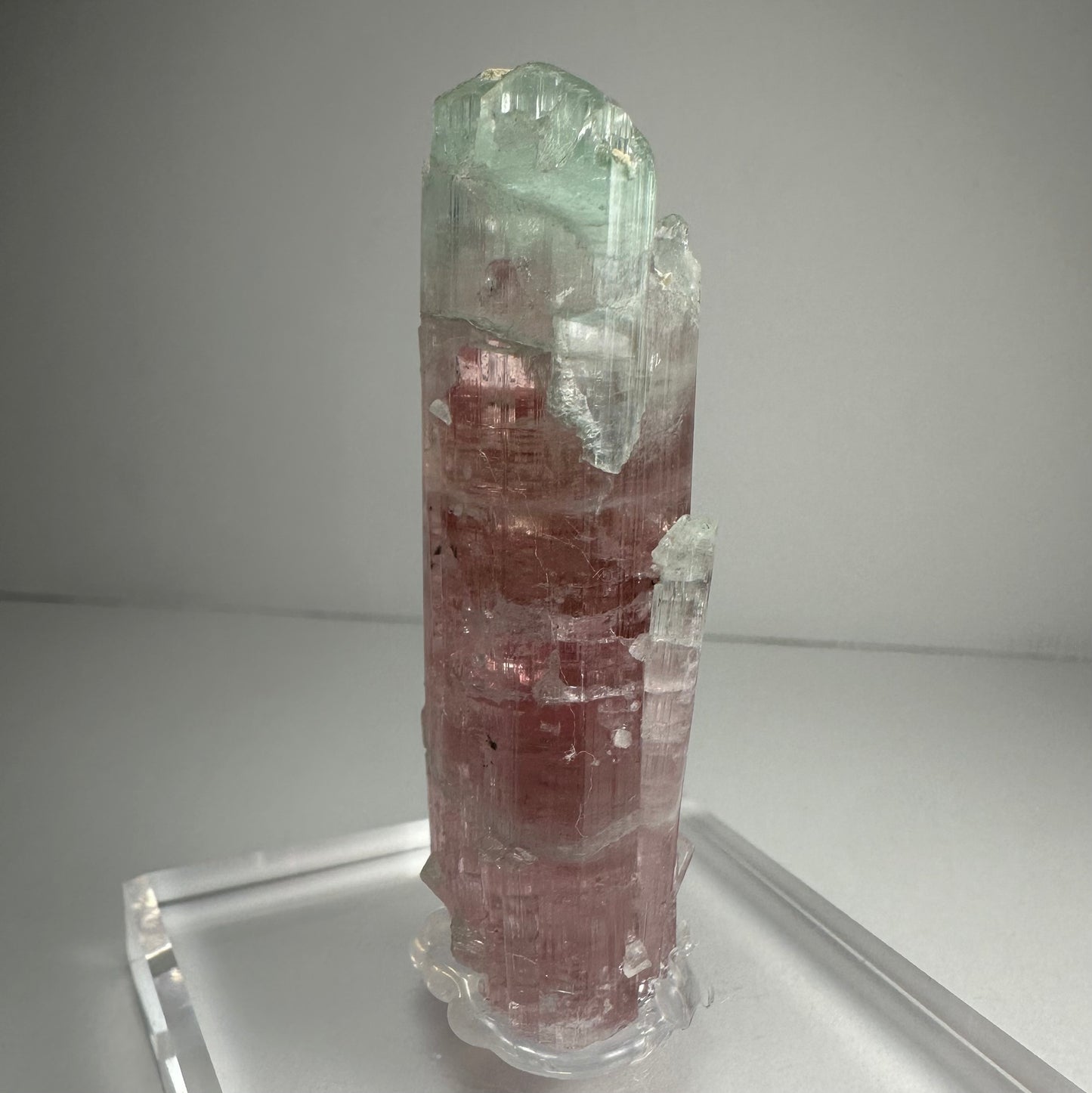 Watermelon Tourmaline