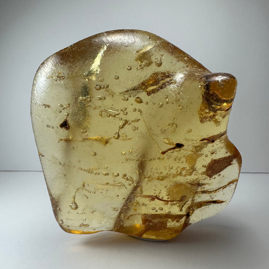 Amber with Insects