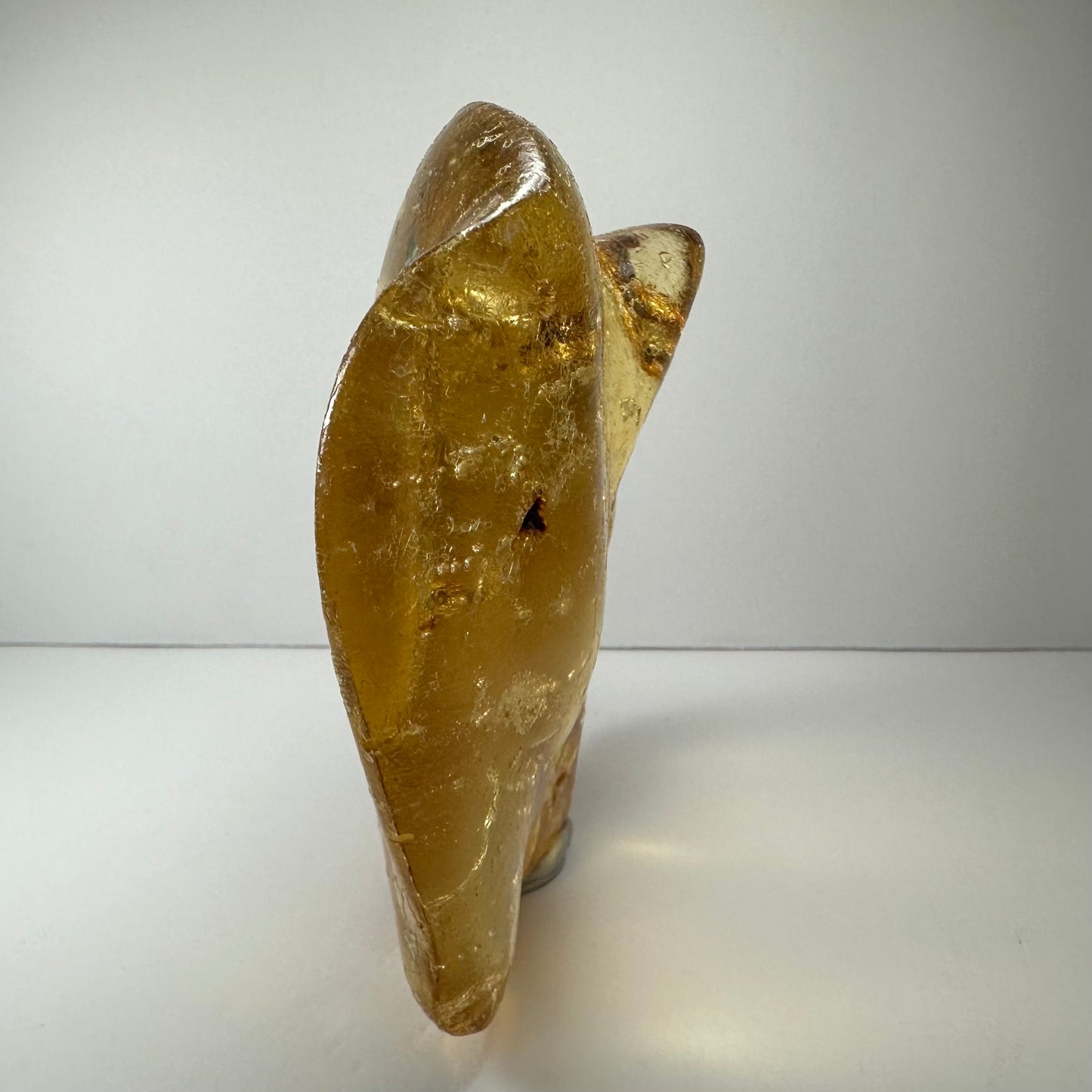 Amber with Insects