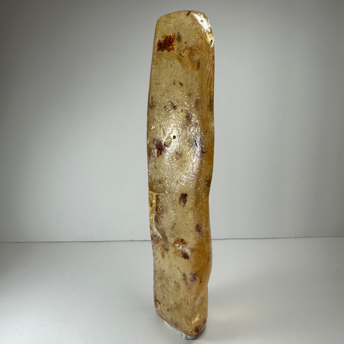 Amber with Bee Colony from Colombia