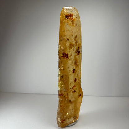 Amber with Bee Colony from Colombia