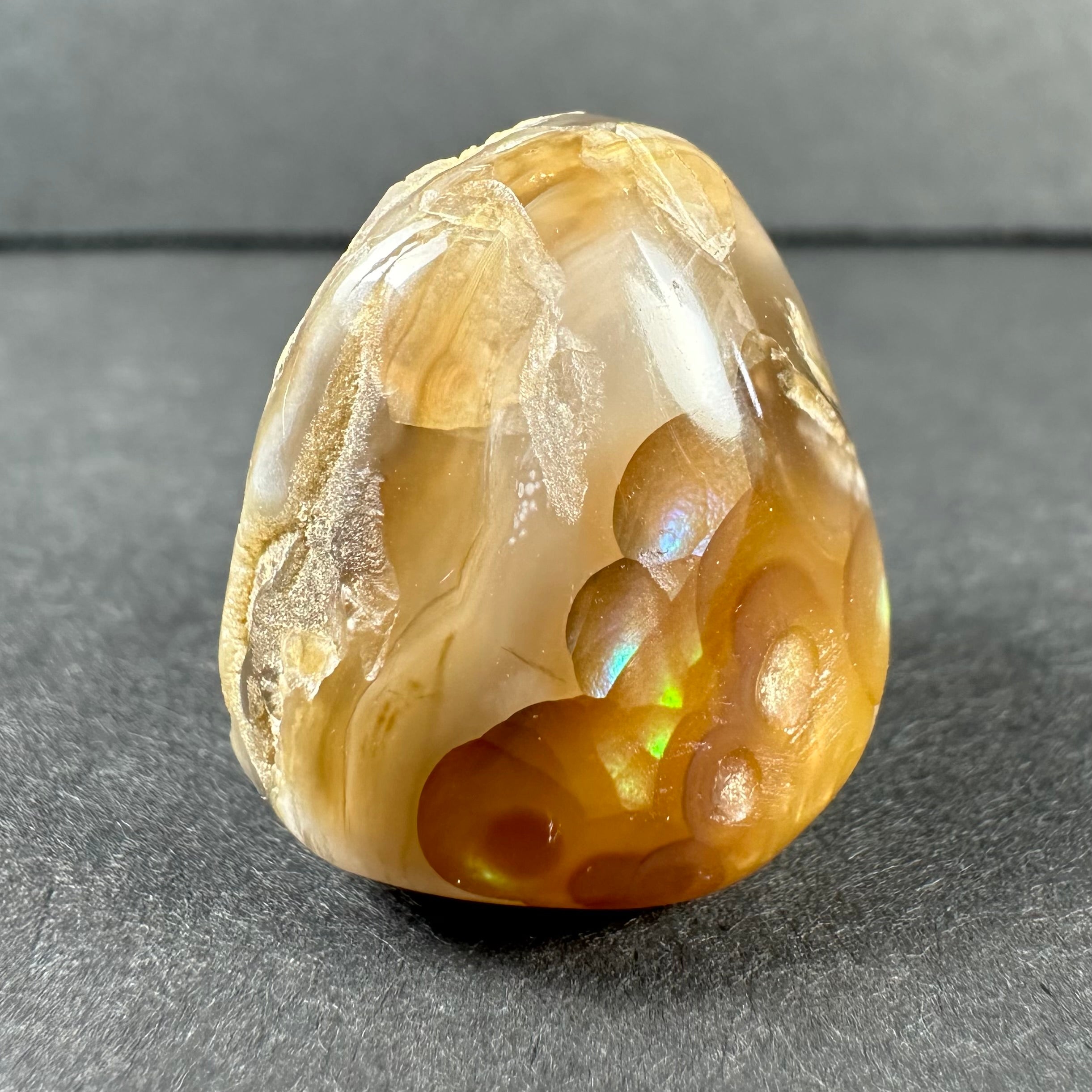 Fire Agate Oyster Shell – Rare Earth Gallery