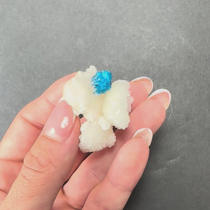 Cavansite Ball 'Floaters' on Stilbite MD