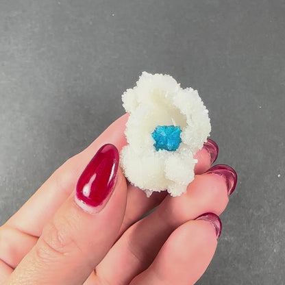 Cavansite Ball 'Floaters' on Stilbite SM from Maharashtra, Pune, India