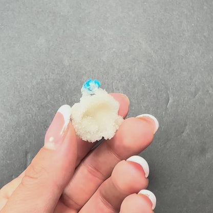 Cavansite Ball 'Floaters' on Stilbite SM from Maharashtra, Pune, India