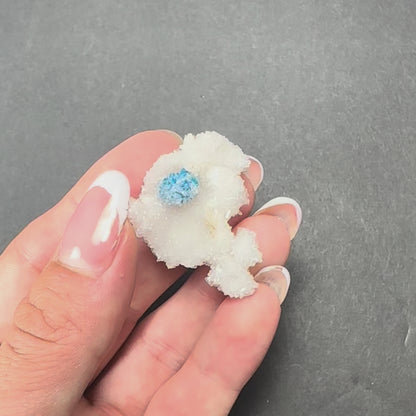 Cavansite Ball 'Floaters' on Stilbite SM from Maharashtra, Pune, India