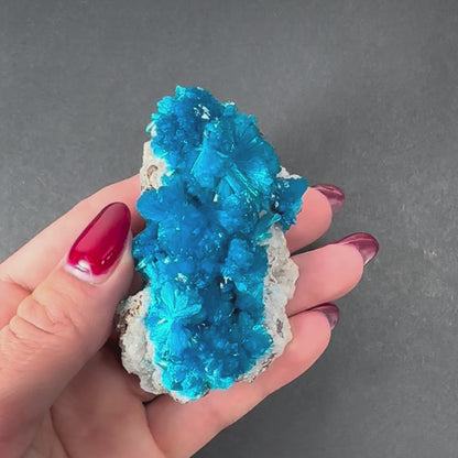 Cavansite on Matrix from Pune, Maharashtra, India