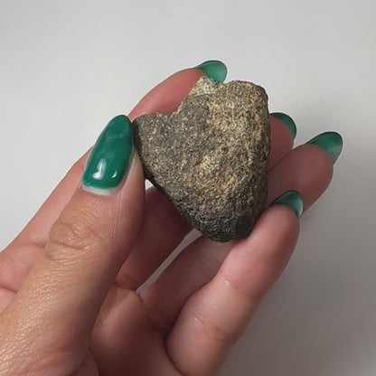 Chondrites Meteorite South Sahara Desert, Morocco