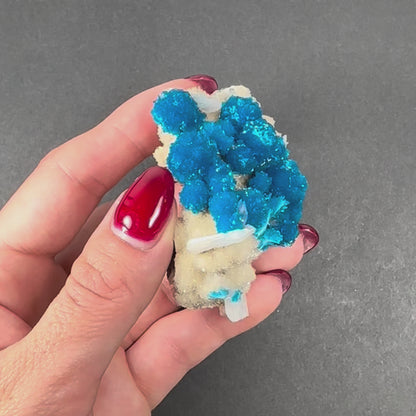 Cavansite with White Stilbite on Matrix from Maharashtra, Pune, India