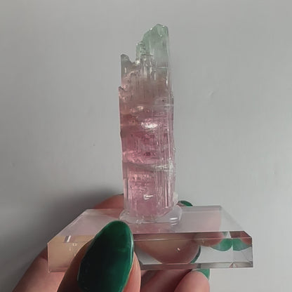 Watermelon Tourmaline