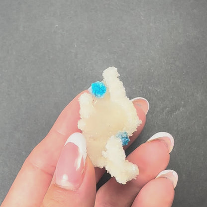 Cavansite Ball 'Floaters' on Stilbite SM from Maharashtra, Pune, India