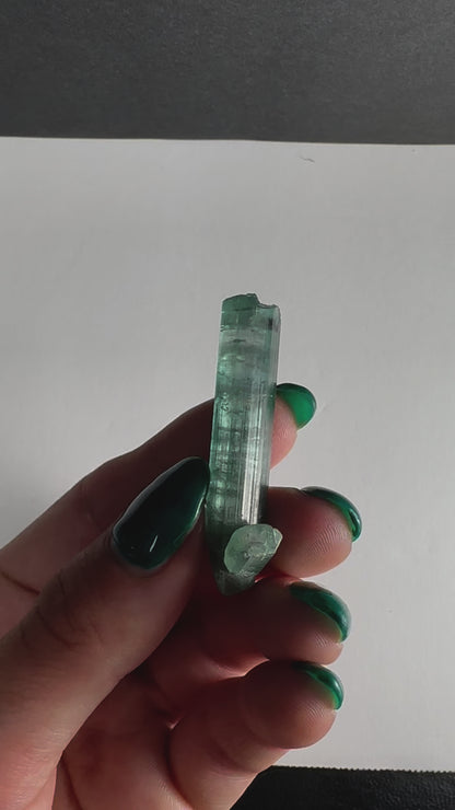 Indicolite Tourmaline with Rubellite from Africa