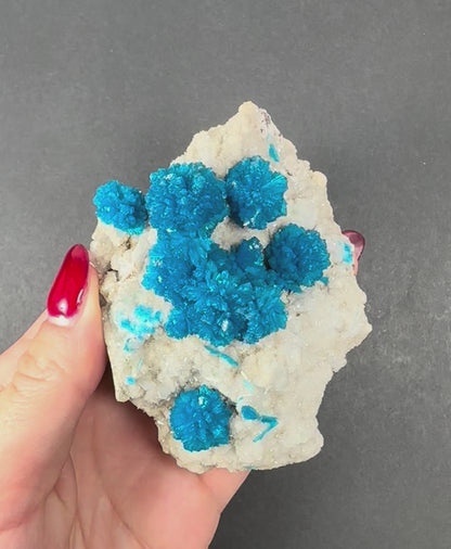 Cavansite with Stilbite on Matrix from Maharashtra, Pune, India