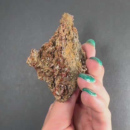 Wulfenite Cluster on Matrix from Maoniuping Mine, Sichuan, China