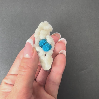 Cavansite Ball 'Floaters' on Stilbite MD